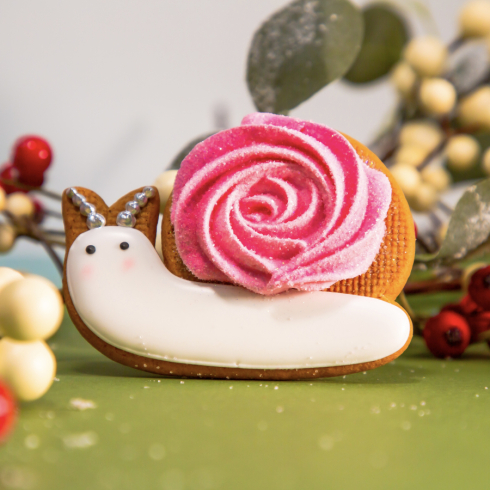 Honey Biscuit Snail