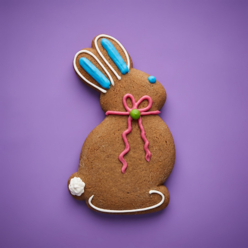 Honey Biscuit Rabbit