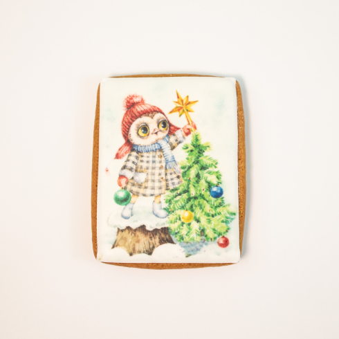 Christmas Owl Biscuit