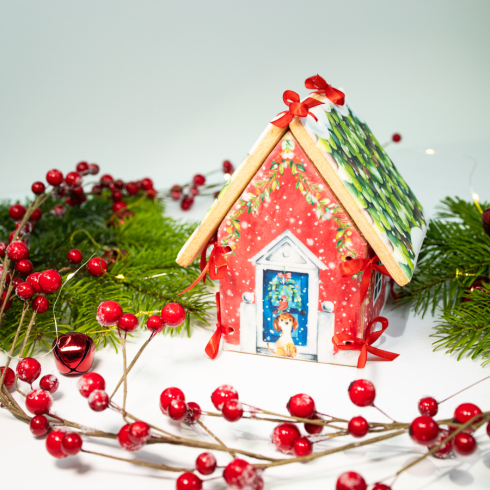 DIY Biscuit House Kit