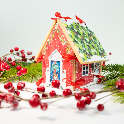 DIY Biscuit House Kit