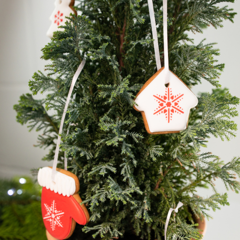 Christmas Decoration