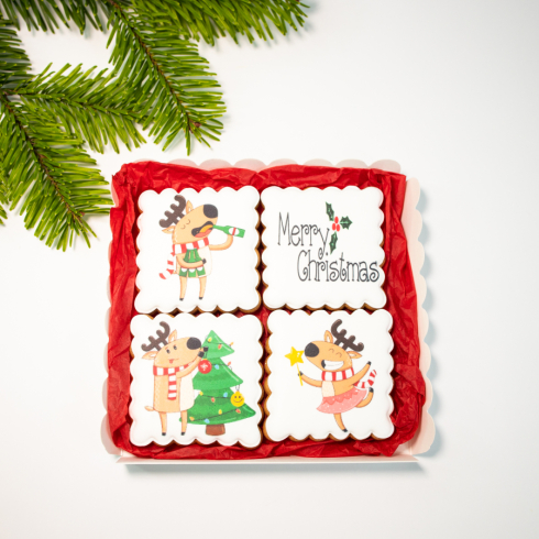 Christmas Biscuits Set Party