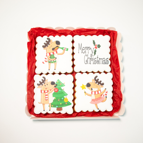 Christmas Biscuits Set Party