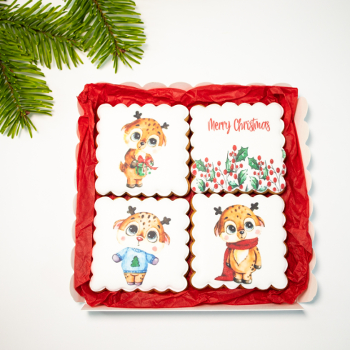 Christmas Biscuits Set Deer