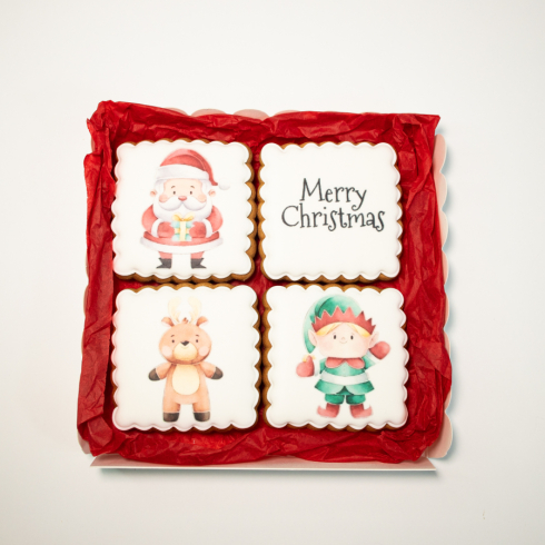 Christmas Biscuits Set Elf