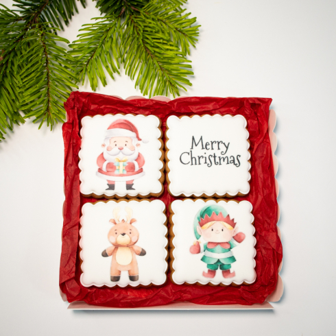 Christmas Biscuits Set Elf