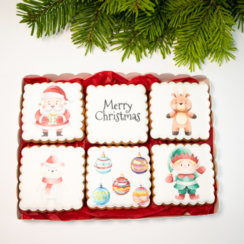 Merry Christmas Biscuits Set