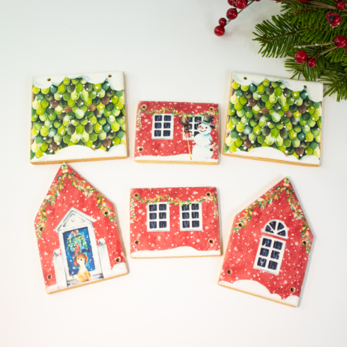 DIY Biscuit House Kit