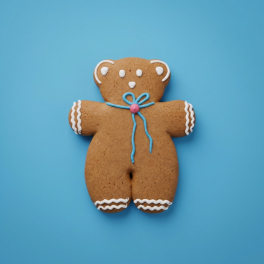 Honey Biscuit Bear
