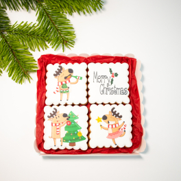Christmas Biscuits Set Party