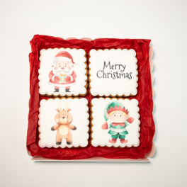 Christmas Biscuits Set Elf