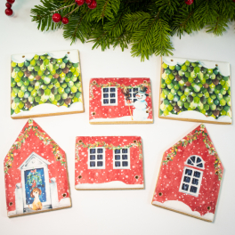 DIY Biscuit House Kit